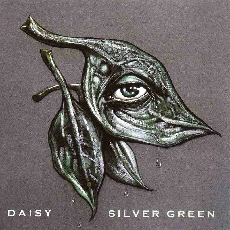 Daisy - Silver Green