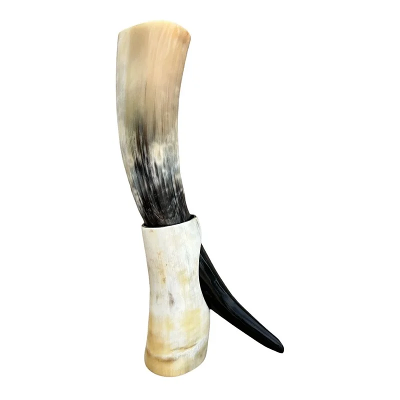 Drinking Horn On Stand Polished